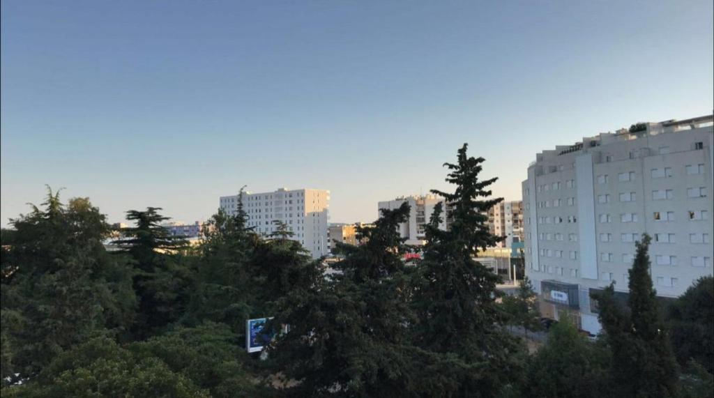 Wohnung in Zadar: Apartman Kata