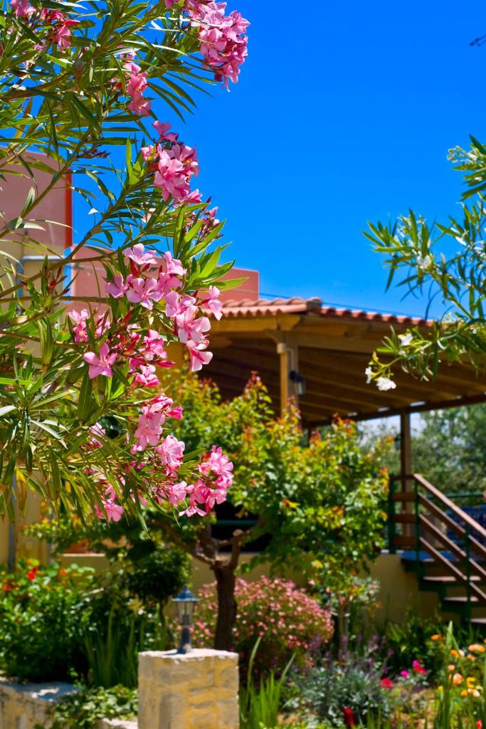 Chrissas Apartments 4