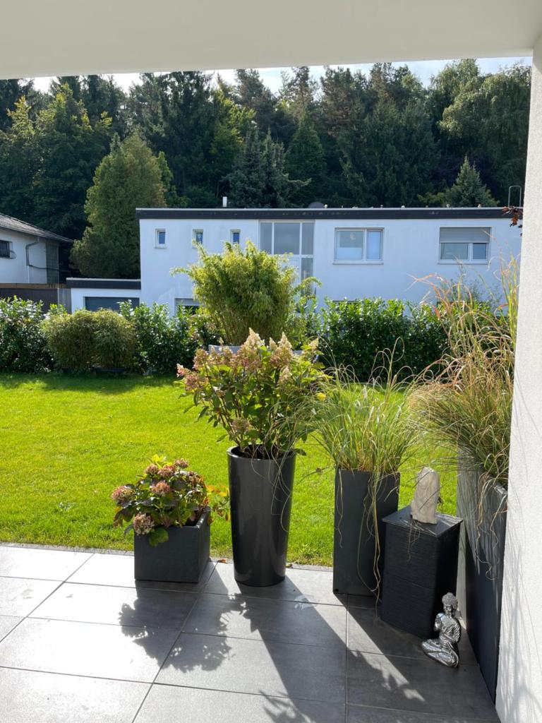 Gemütliche Villa am Waldrand in Taunusstein 6