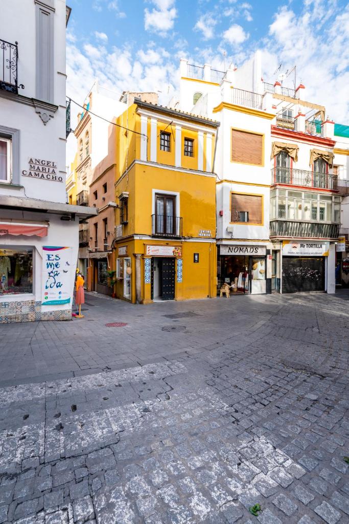 Casa Ispal Alfalfa 2