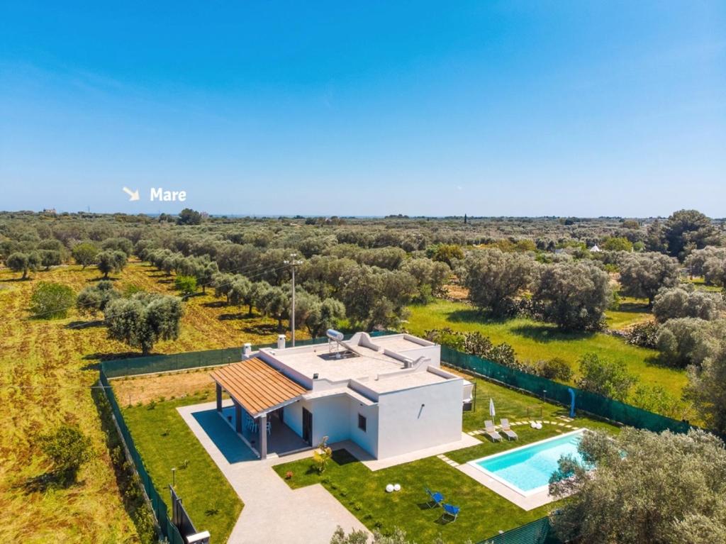 une vue aérienne d'une villa avec piscine dans l'établissement Villa Euframia, à San Vito dei Normanni