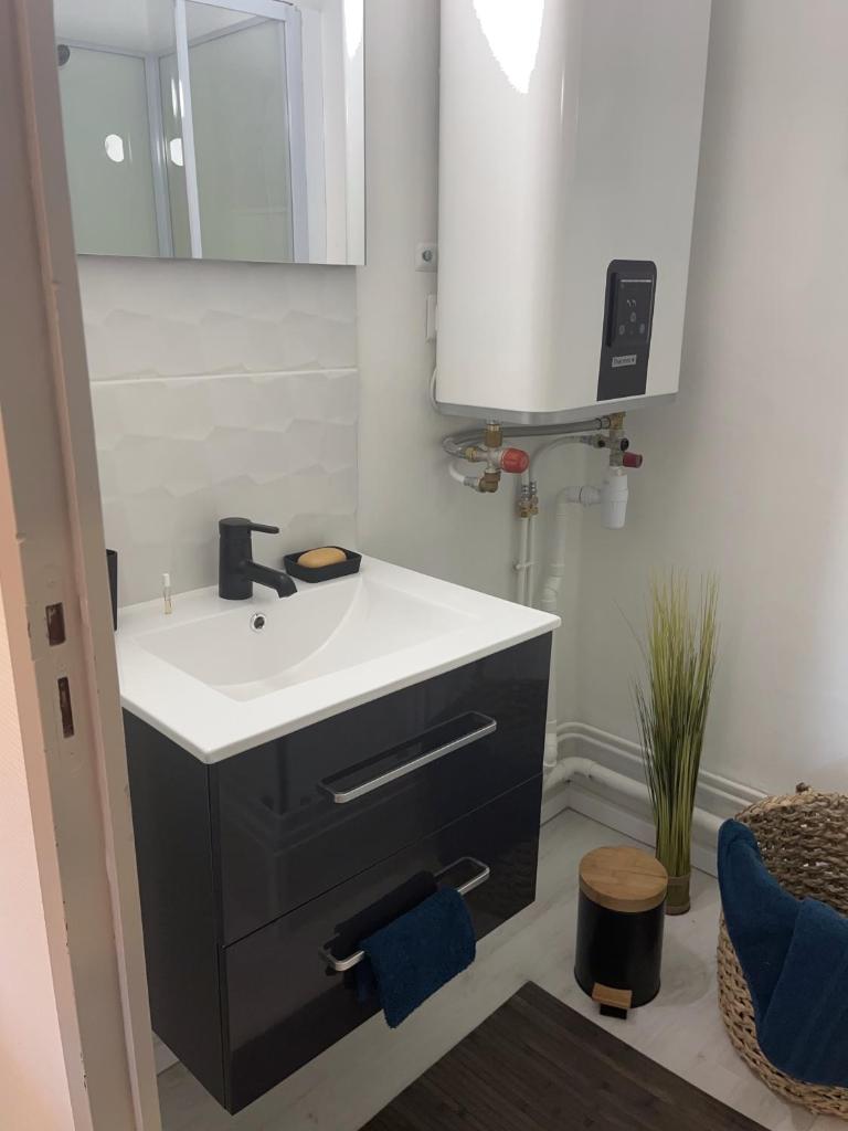une salle de bain avec un lavabo et un miroir dans l'établissement bel appartement dans la montagne, L'orée du Bois, à Mouthe 15 autres photos