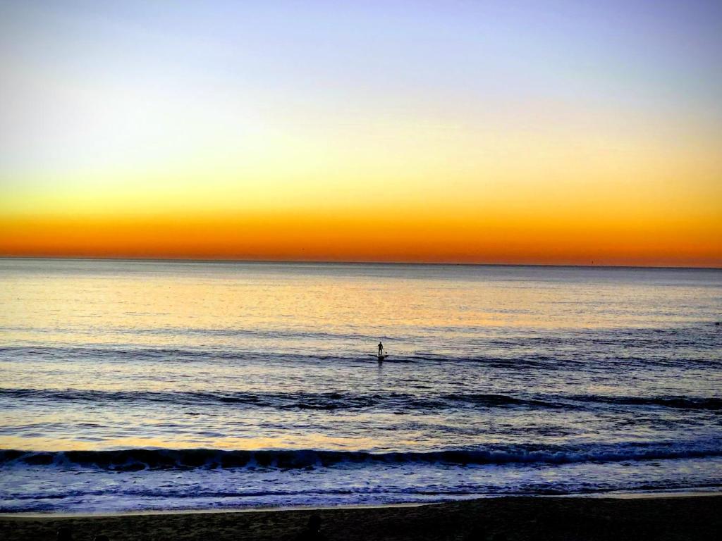 The Shore at Seaside Paradise - Beach, Terrasse, Pets Friendly 1