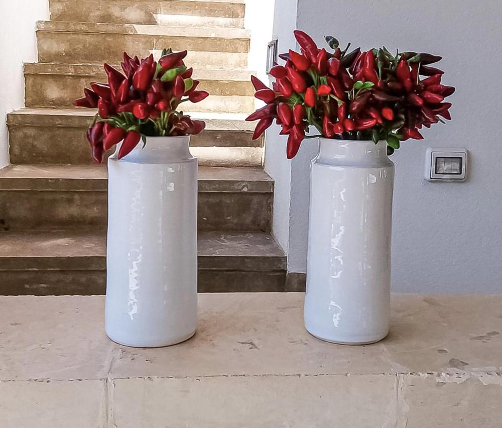 Photo de la galerie de l'établissement Infinity Pool Villa, à Leuca