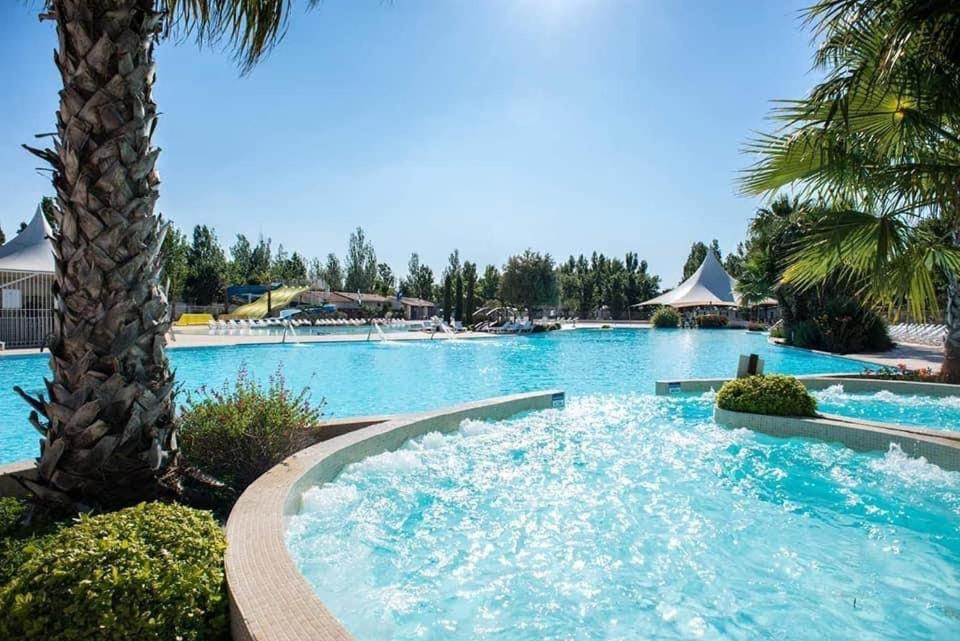 une grande piscine avec de l'eau bleue et des palmiers dans l'établissement Location Mobil Home, à Vias