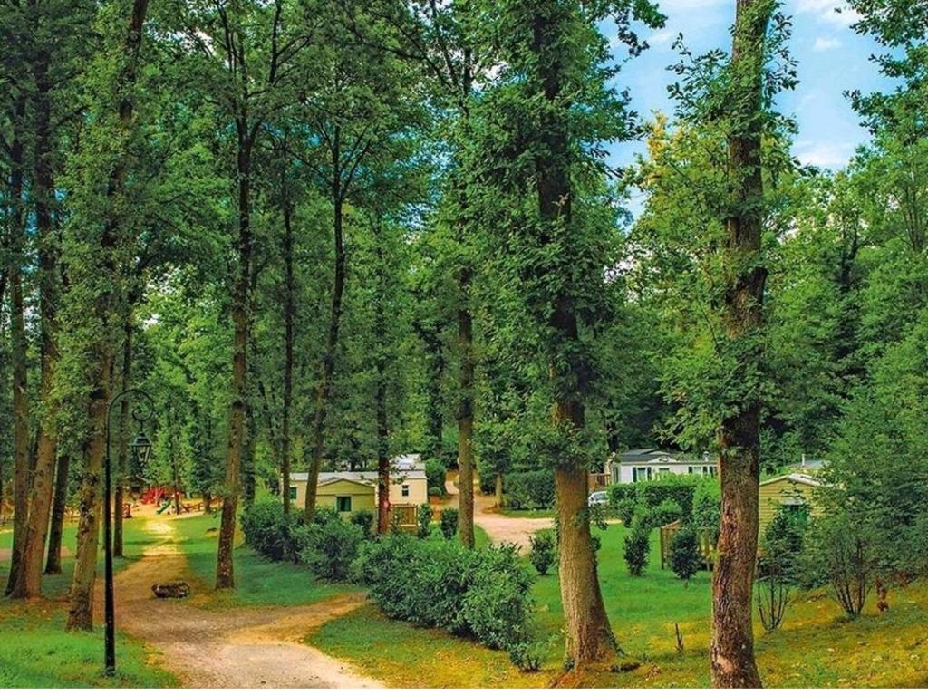 une forêt d'arbres avec une maison en arrière-plan dans l'établissement L'indépendant, à Saint-Chéron