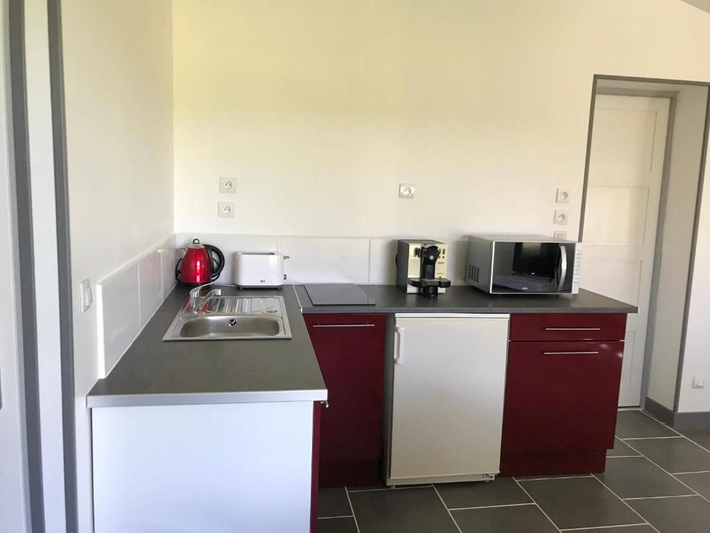 une petite cuisine avec un évier et un micro-ondes dans l'établissement Gite classé 3 étoiles pour 2, à Loubersan 12 autres photos