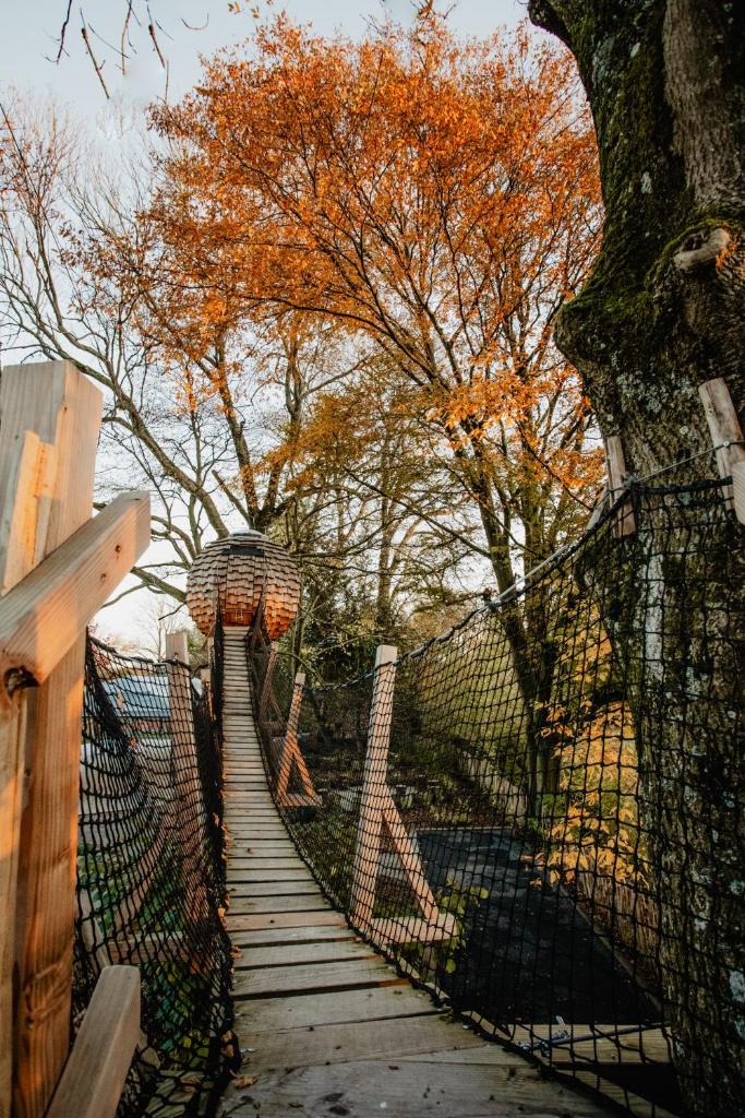 Photo de la galerie de l'établissement Cabane suspendue, à Wargnies-le-Petit