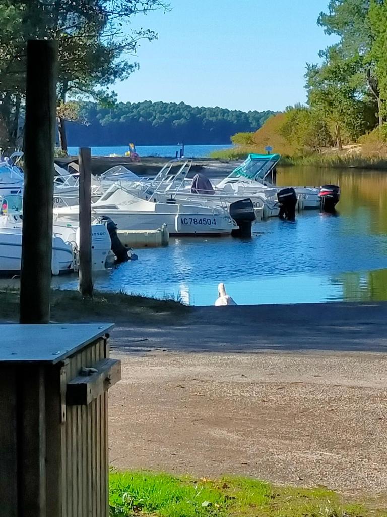 une femme assise sur un banc près des bateaux dans l'eau dans l'établissement Mobilhome LAME, à Gastes 18 autres photos