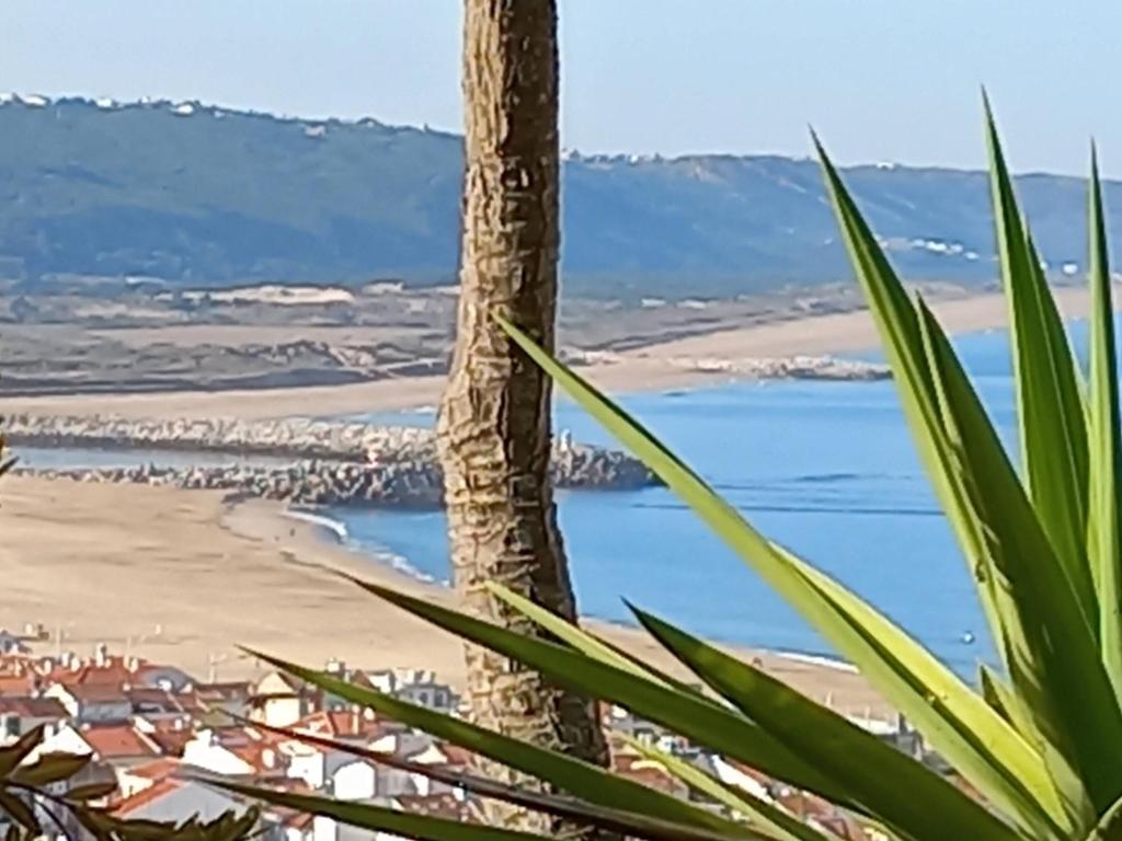 Apartamentos Bela Vista 1