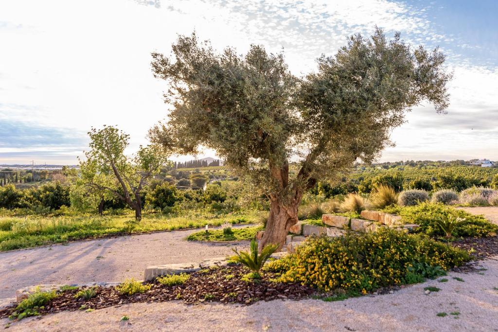 Quinta da Baleeira 8