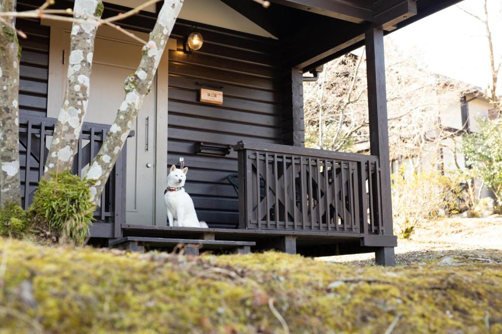 un chat assis sur la terrasse couverte d'une maison dans l'établissement Hanare no Yado Hanagokoro, à Minamioguni 37 autres photos