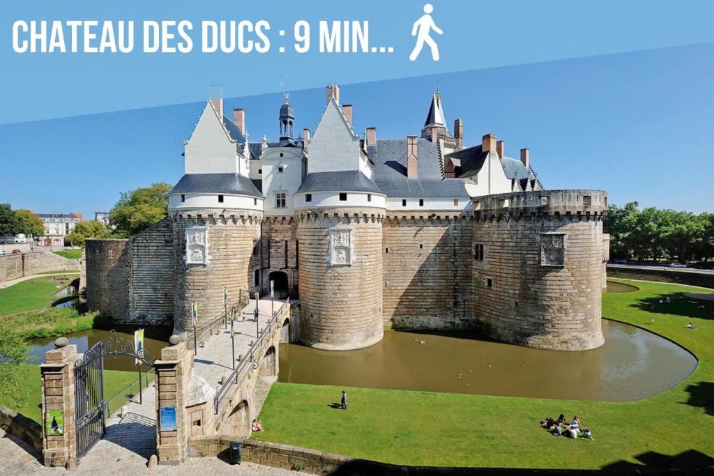 Le Somptueux - A 200m du Passage Pommeraye 6