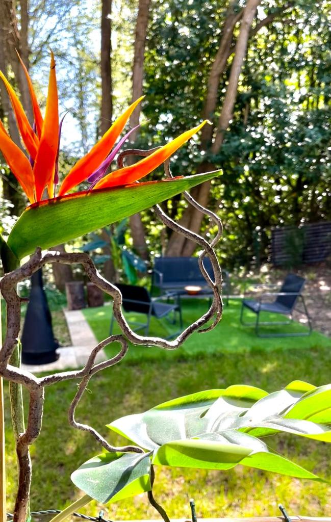 une fleur rouge sur une plante dans un jardin dans l'établissement Tiki House M-Home-Climatisé - Belle parcelle !, à Saint-Chéron