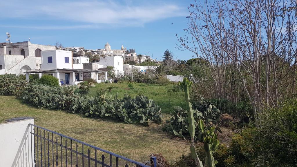 une maison sur une colline avec des cactus dans une cour dans l'établissement Case La Pergola, à Stromboli