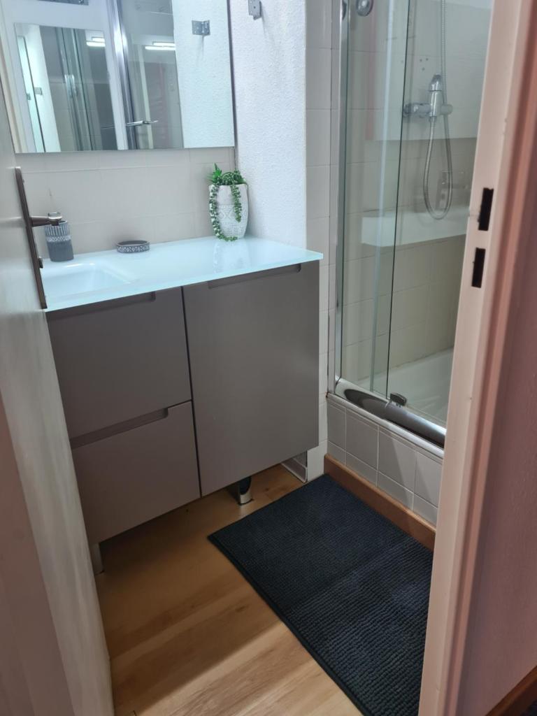 une salle de bain avec un lavabo et une douche dans l'établissement grand studio 28 m2 tout confort au pieds des pistes, à La Foux 15 autres photos