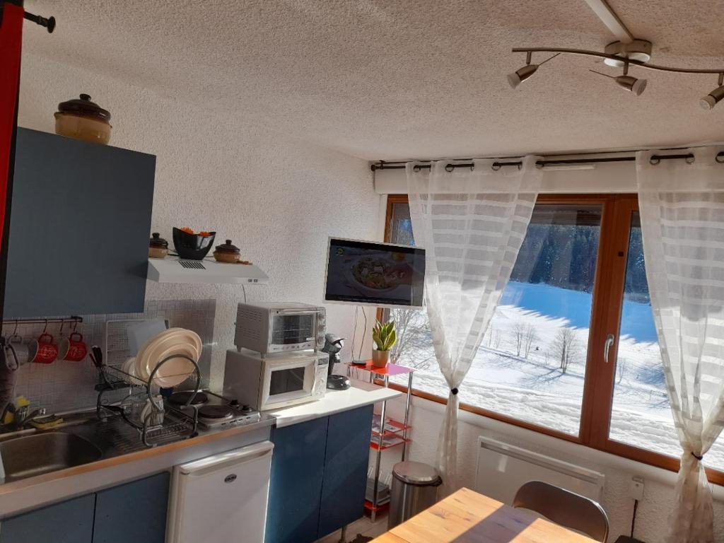 Il comprend une cuisine équipée d'un four micro-ondes et une fenêtre avec vue. dans l'établissement les glovettes Villard de lans, à Villard-de-Lans
