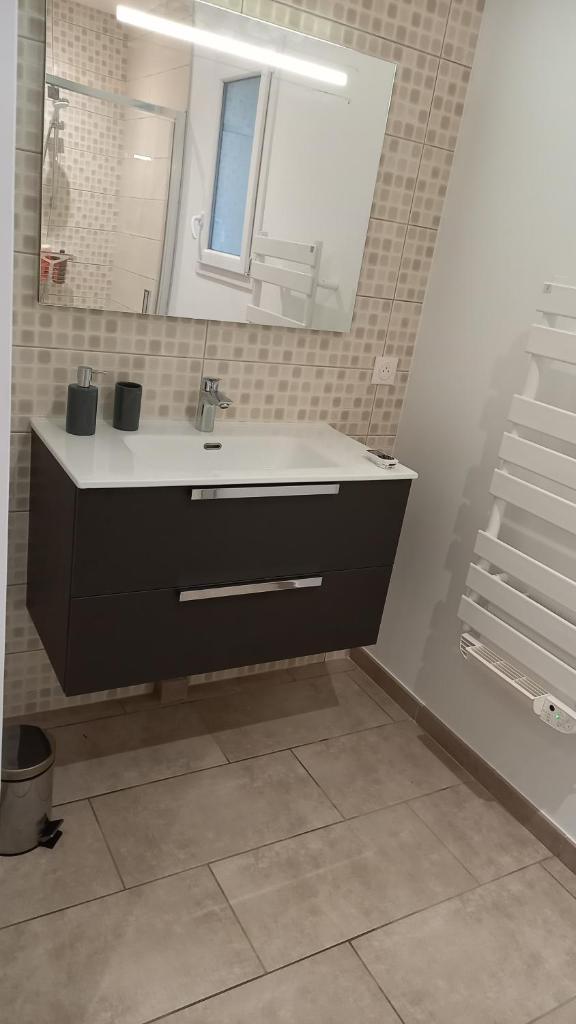 une salle de bain avec un lavabo et un miroir dans l'établissement Chez Anne Marie Gite la volière, à Beausemblant