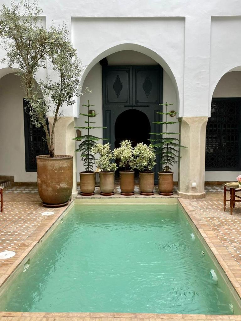 - une piscine dans une cour ornée de plantes en pot dans l'établissement Riad Magellan Yoga and Spa, à Marrakech