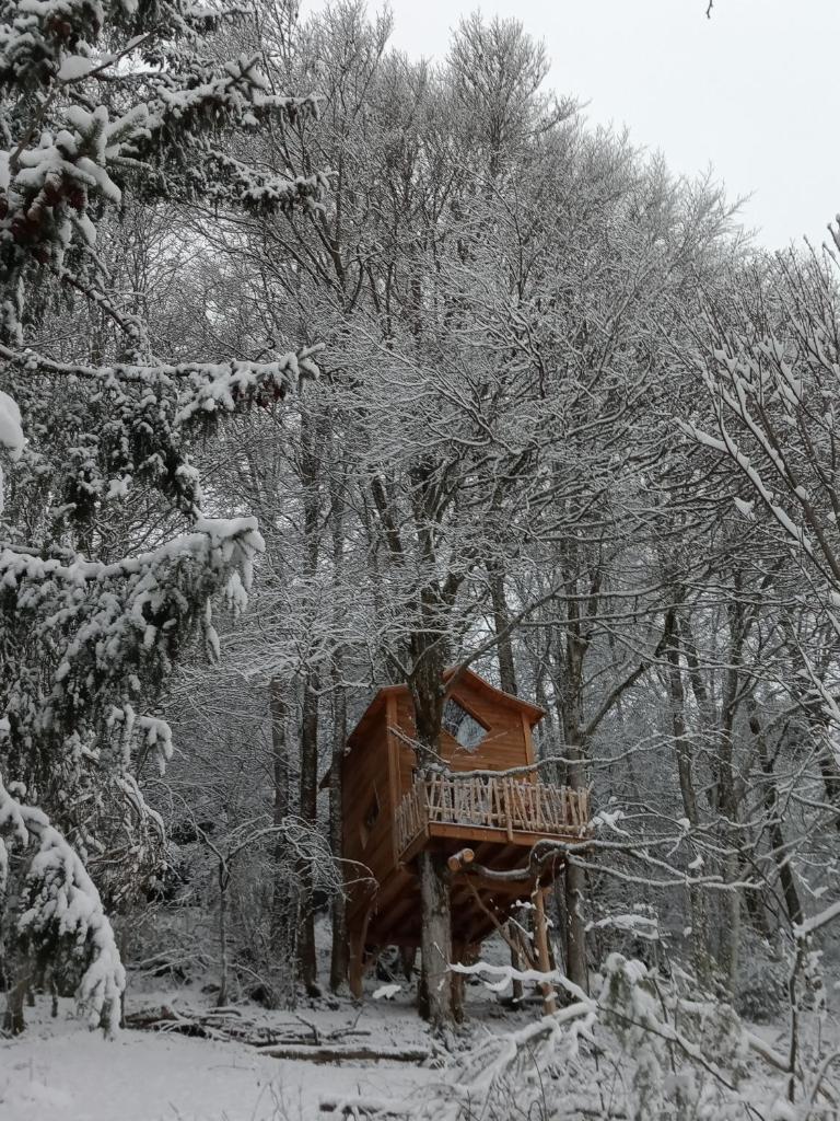 une cabane dans les arbres en bois dans une forêt enneigée dans l'établissement Cabane du Druide Domaine de Fangorn, à Glux