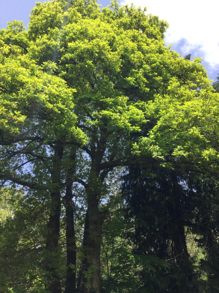 Photo de la galerie de l'établissement EcoCamping d Hacadour, à Mellionnec 37 autres photos