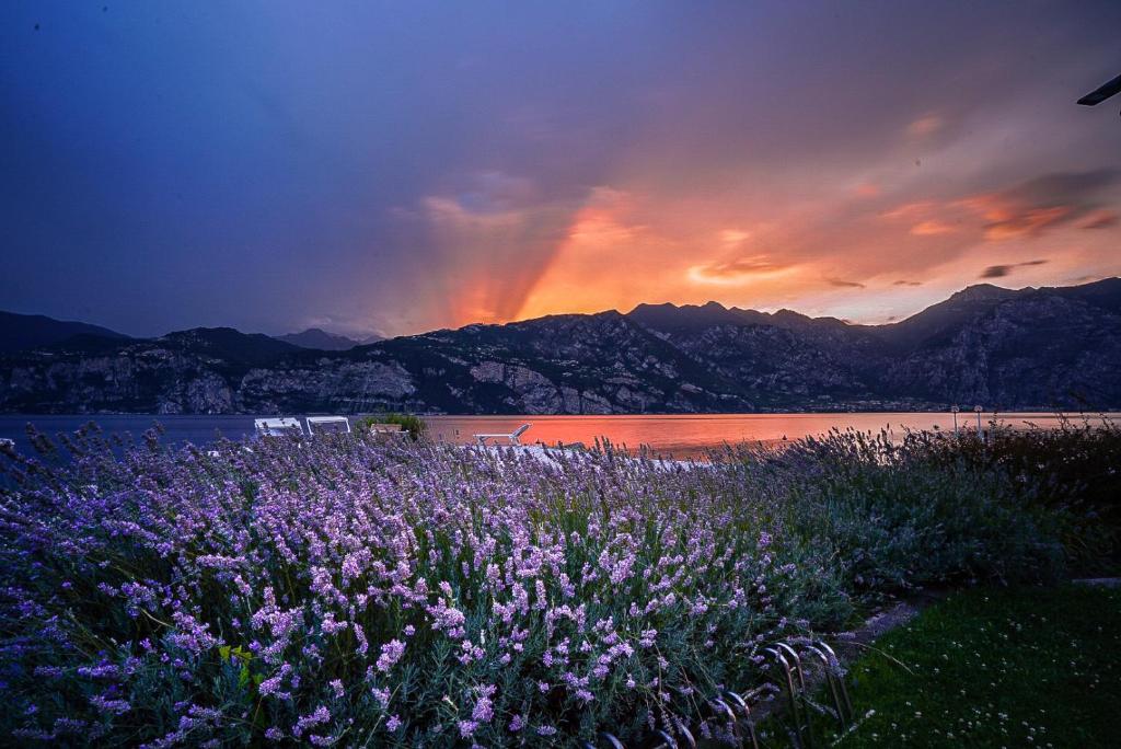 Photo de la galerie de l'établissement Hotel Europa, à Malcesine
