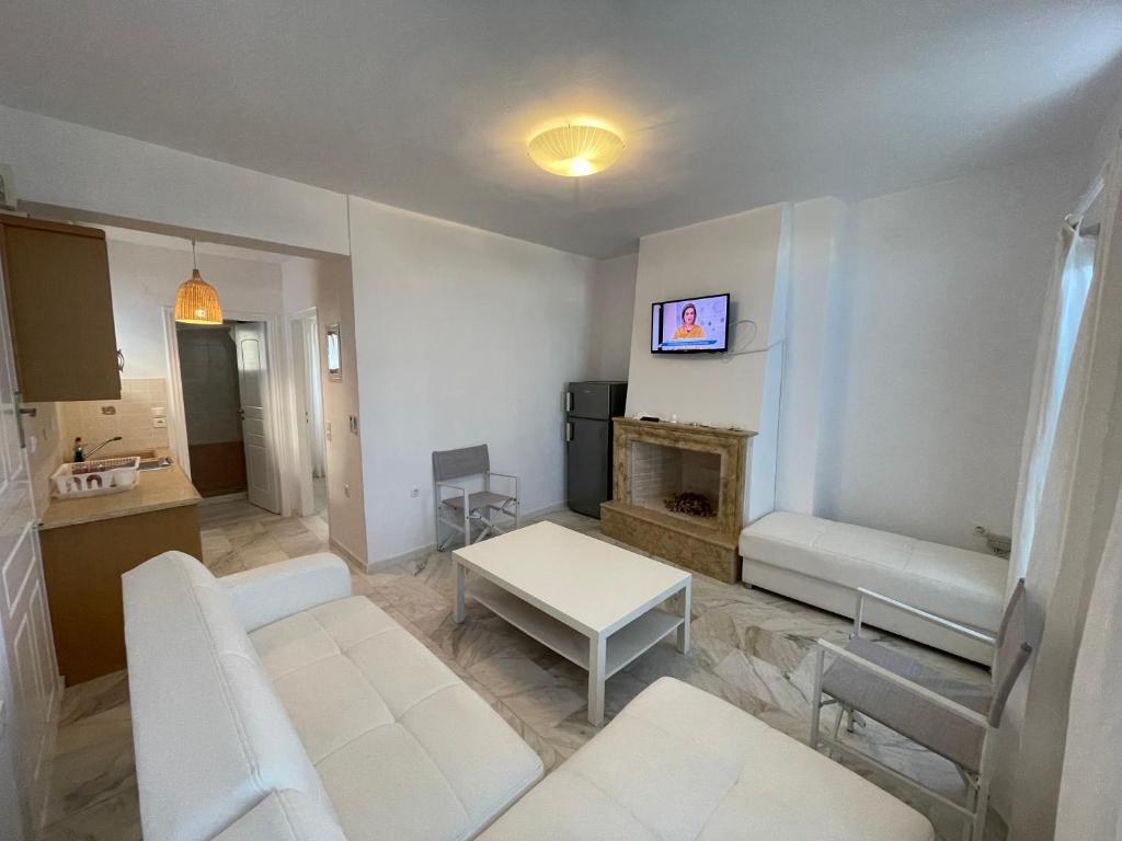 Amedi Villas Tinos 6