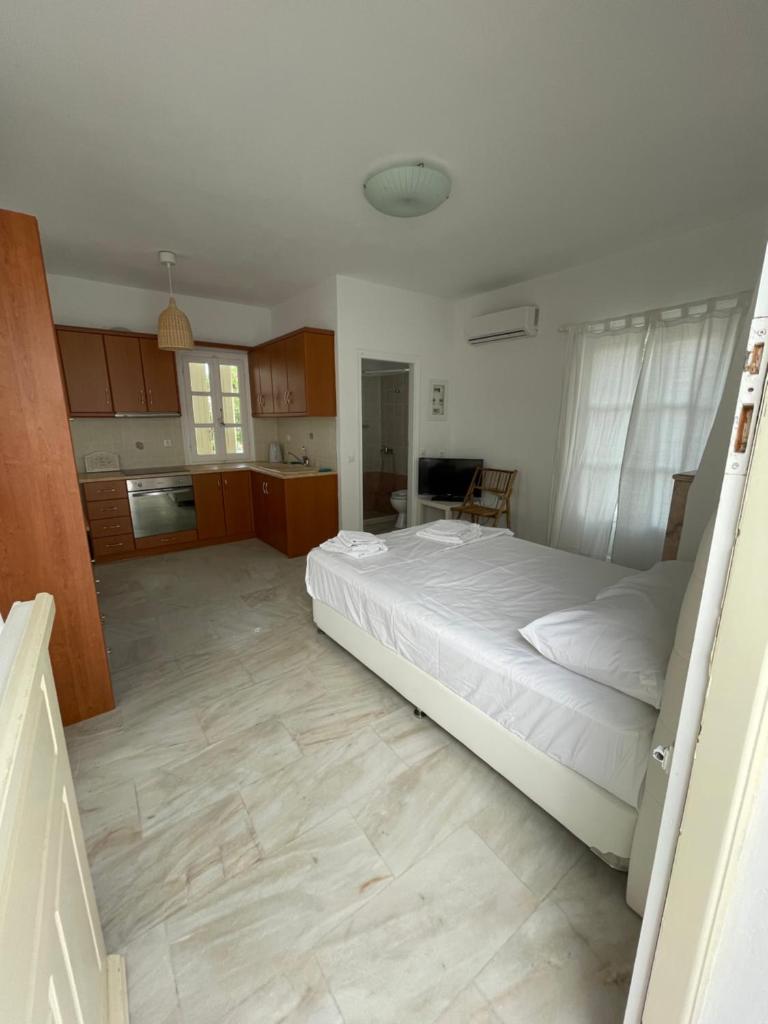 Amedi Villas Tinos 3