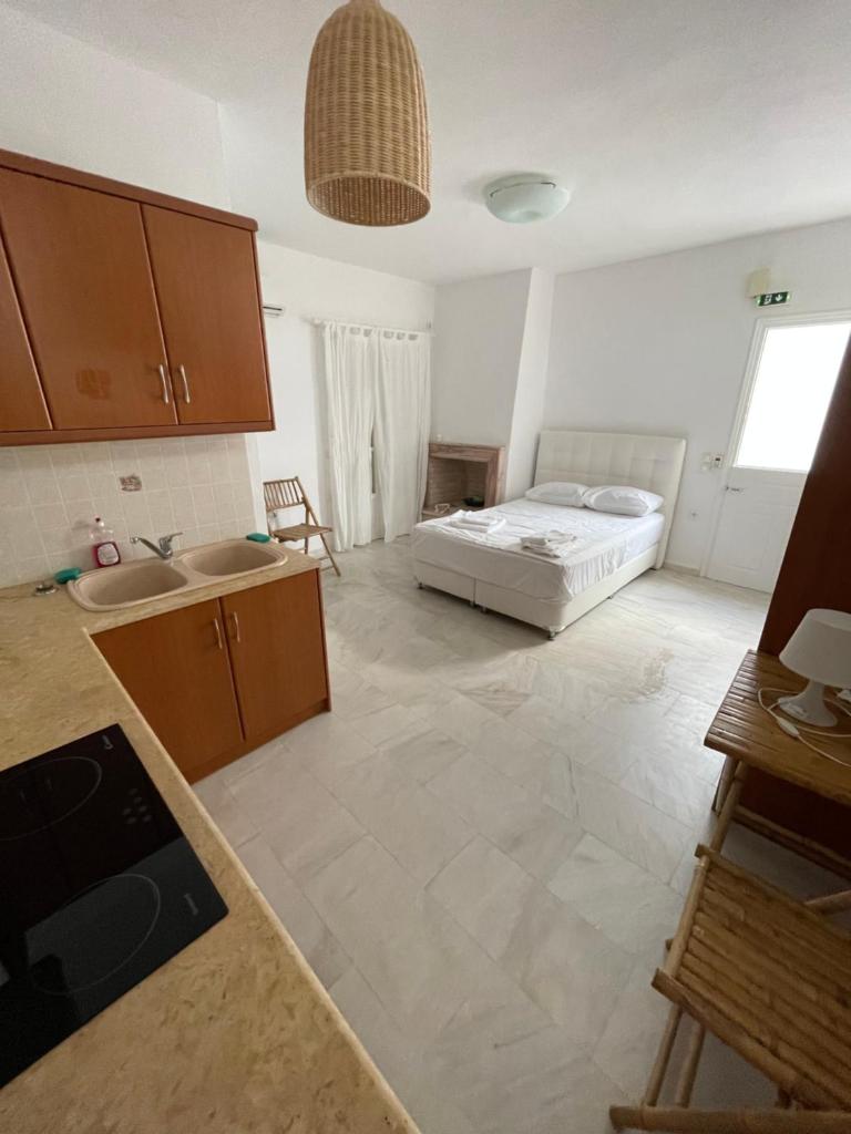 Amedi Villas Tinos 2
