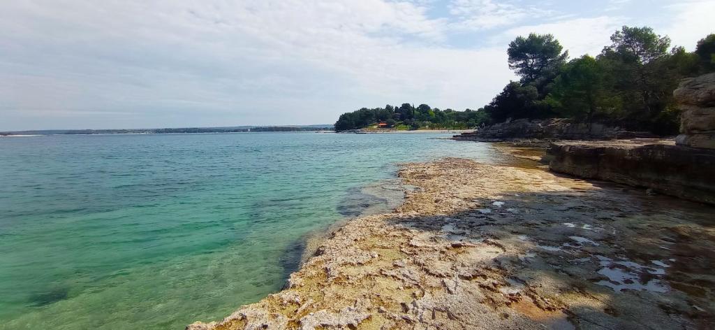 Mobile Homes Istria - Brioni Pula 7