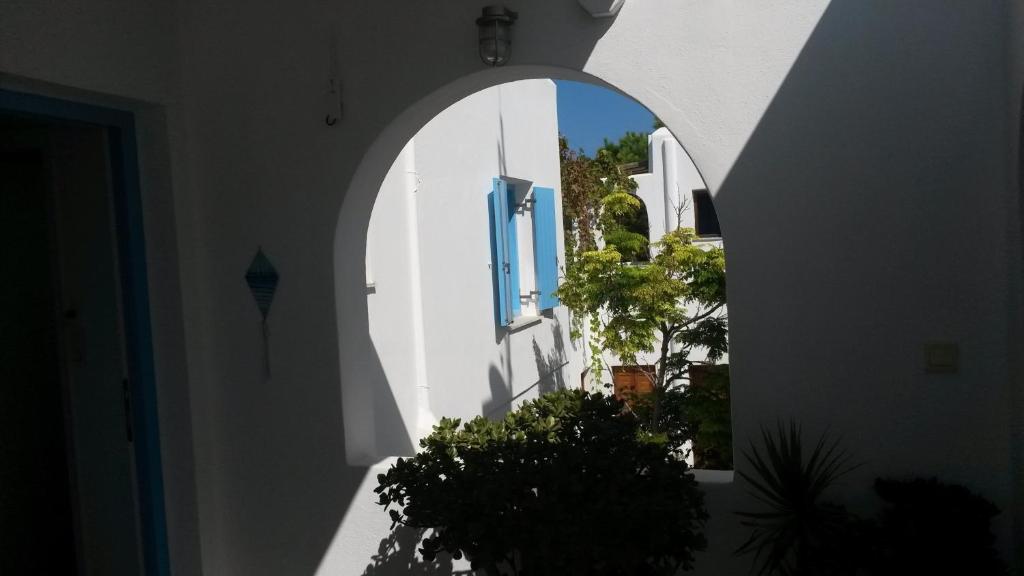 Antonia Studios 6