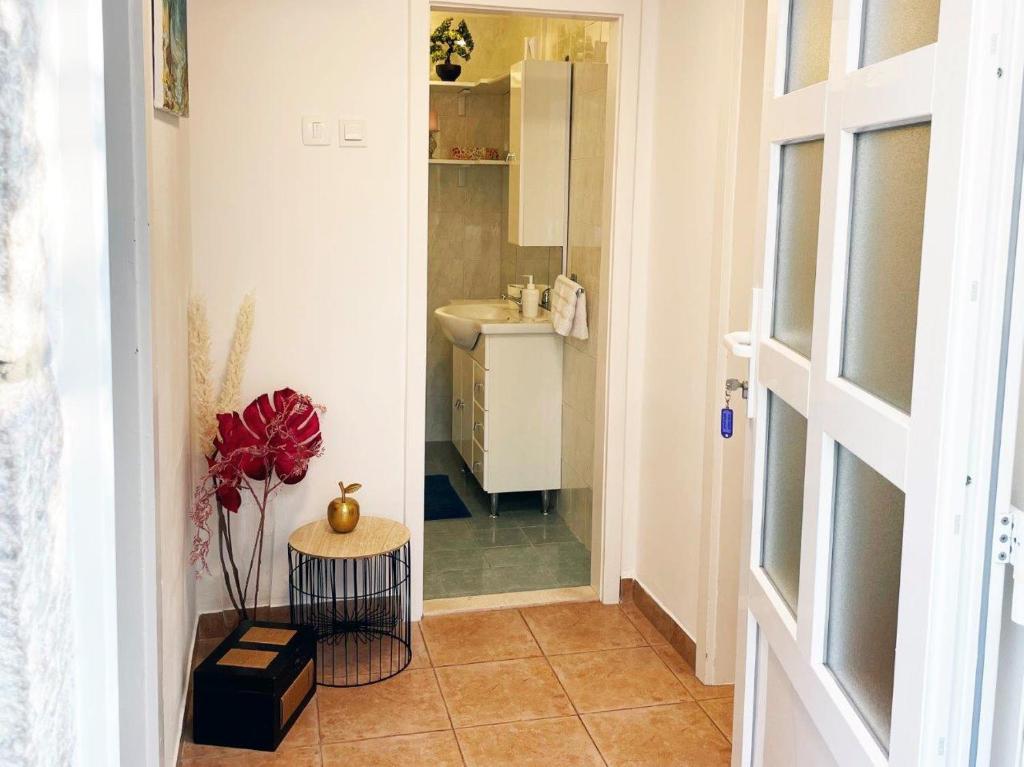 Apartment Nono Moj 3