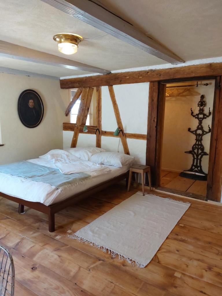 Historisches Doppel - Riegelbauernhaus 6