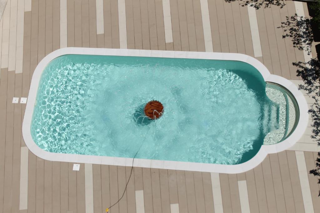 - une vue sur un chien dans la piscine dans l'établissement Hotel Corallo, à Villapiana 15 autres photos