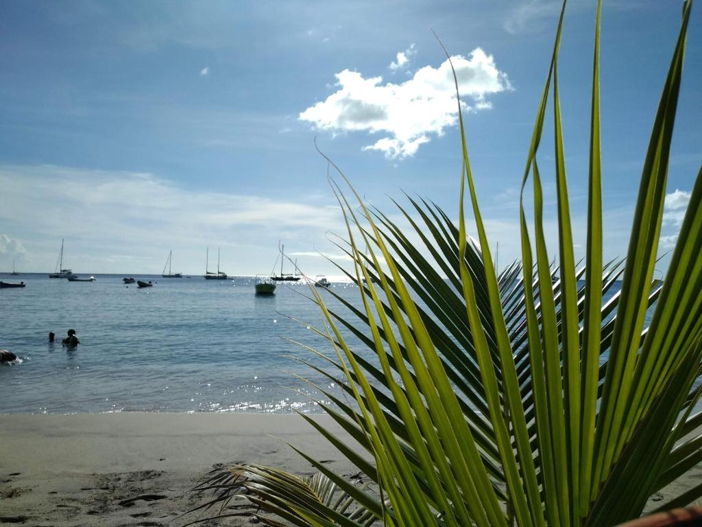 Les Hauts des Anses - 5mn plages en voiture 5