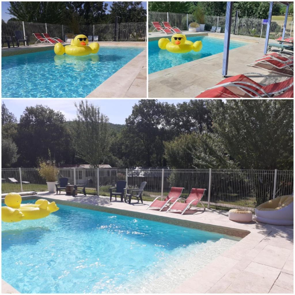 une piscine avec un canard en caoutchouc dans l'eau dans l'établissement Luxe safarilodgetent met boxspring bedden, à Montcléra
