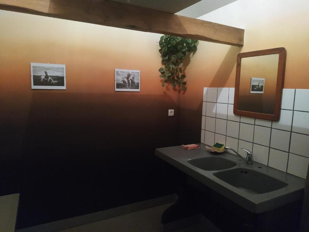 une salle de bain avec un lavabo et un miroir dans l'établissement Thipi Khola, à Val Couesnon 37 autres photos