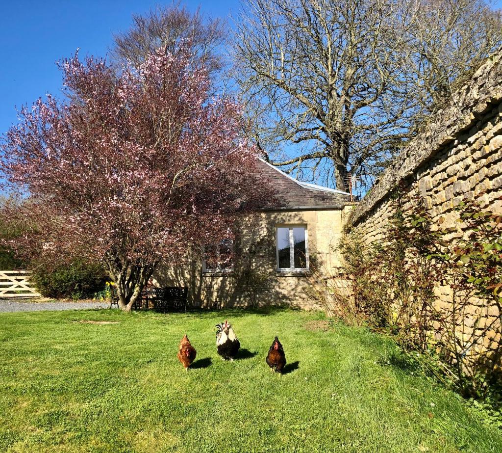 Les Gîtes de la Mare 2