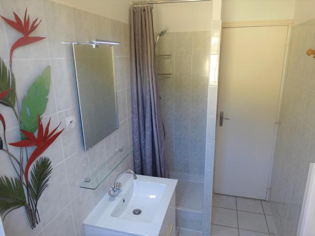 une salle de bain avec un lavabo et une douche avec un miroir dans l'établissement Gîtes Sassone, piscine, jacuzzi et vue mer panoramique sur Ajaccio, à Alata