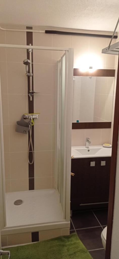 une salle de bain avec douche et lavabo dans l'établissement Appartement St Lary Soulan pied des pistes (le Pla d’Adet) 5 personnes, à Saint-Lary-Soulan