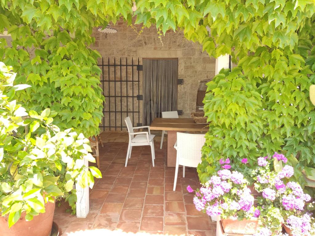 un patio avec une table, des chaises et des plantes dans l'établissement Trulli Volpe, à Alberobello