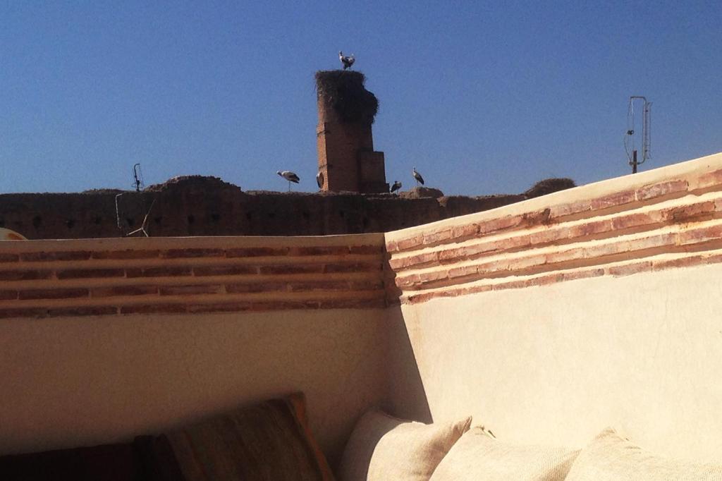 un oiseau assis au sommet d'un immeuble avec une tour dans l'établissement RIAD OF THE STORKS - Exclusive use for up to 17 persons, à Marrakech