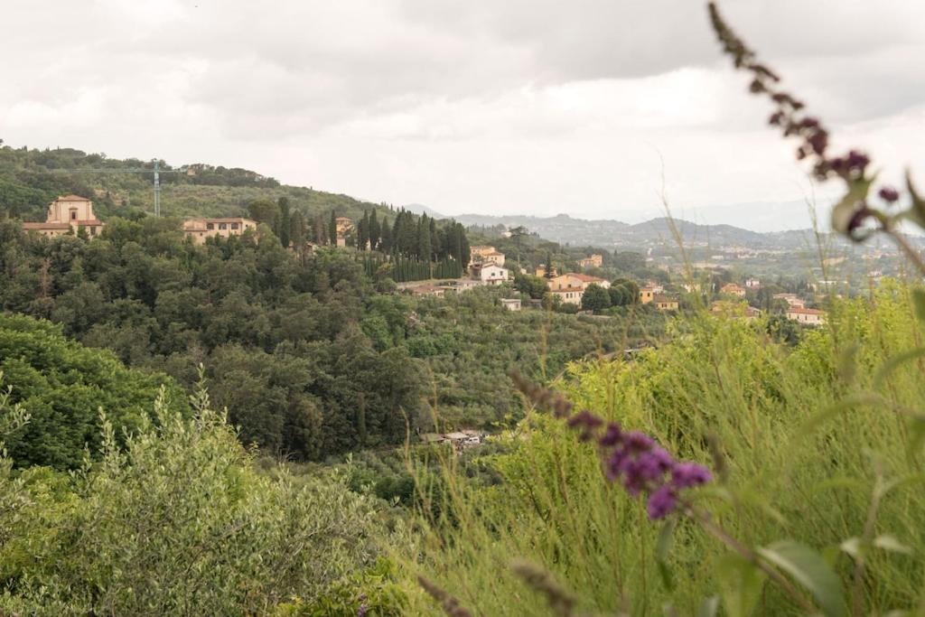 Residenza dei Piaceri Perduti-Rosa 7