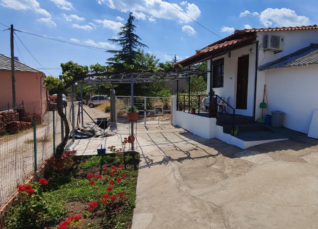 Stella House 5