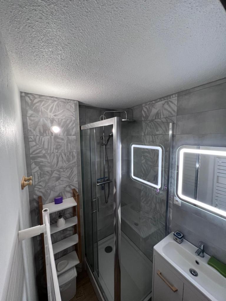 une salle de bain avec douche et lavabo dans l'établissement Résidence les Cristallines, à Le Lioran