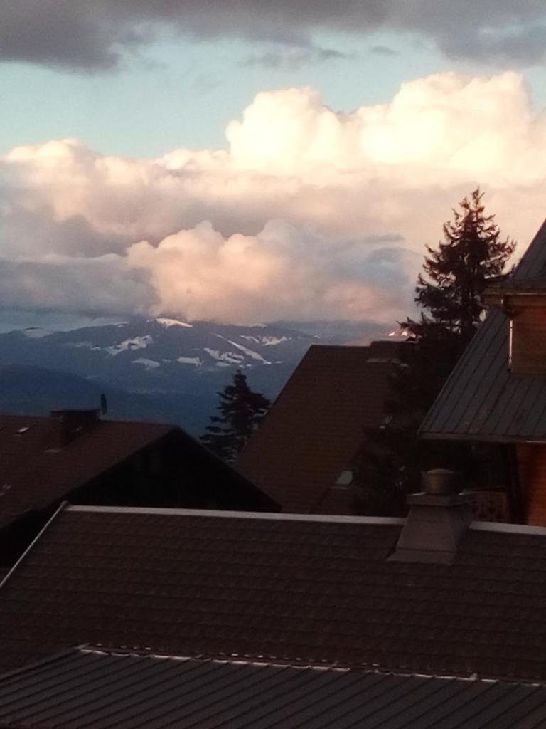 - une vue sur les montagnes depuis les toits des maisons dans l'établissement SUPERBE APPARTEMENT T2 3 ETOILES 40m2 PIED DES PISTES VUE SUR LE LAC, à Thollon-les-Mémises