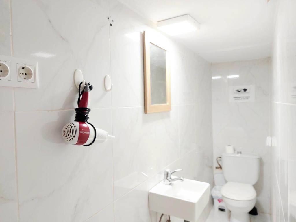 Estudios GLORIA 3