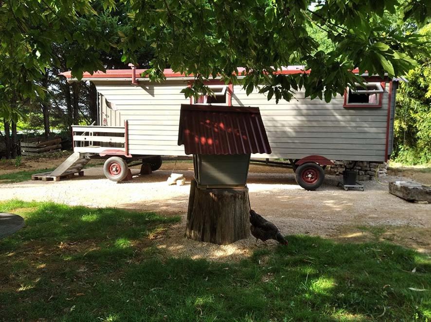 un oiseau assis dans l'herbe à côté d'un arbre dans l'établissement Belle Roulotte unique en pleine campagne Au Jardin de la Vouivre, à Saint-Vincent-en-Bresse