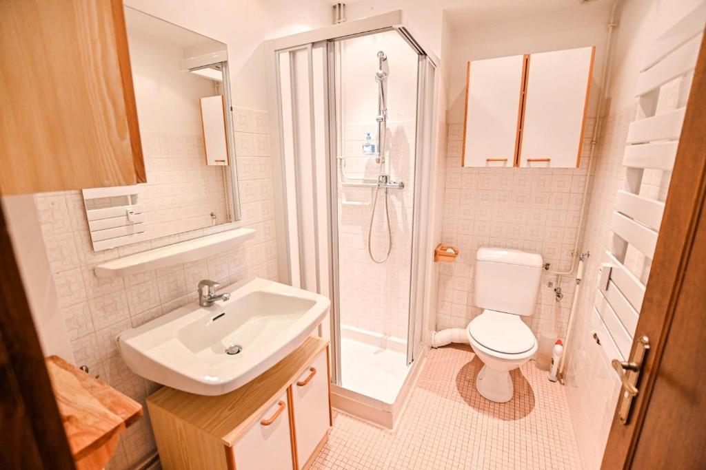 une salle de bain avec toilettes, lavabo et douche dans l'établissement Charmant 50m avec BALCON à Megève !, à Megève