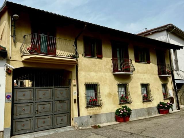 L'Ulivo Selvatico 5